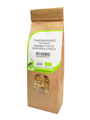 Onopordum-Cyprium-Wild-remedy-herbs-Γαϊδουράγκαθο votana