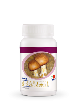 Agaricus Blazei Murill 30