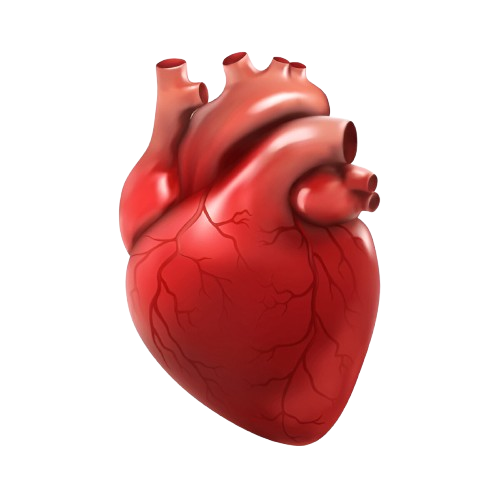 Υγεία της καρδιάς