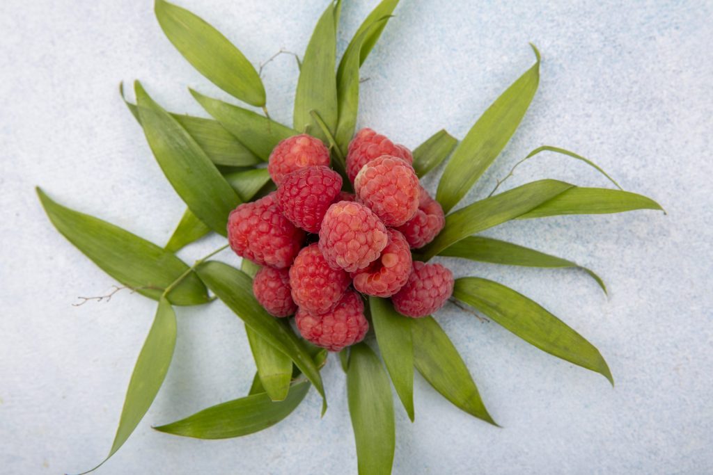 Βότανα στην Εγκυμοσύνη