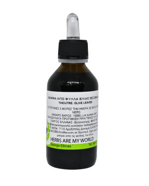 Φύλλα Ελιάς