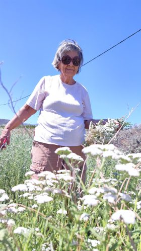 f445de0e1791e7516de23300c3308ffdcee2e281