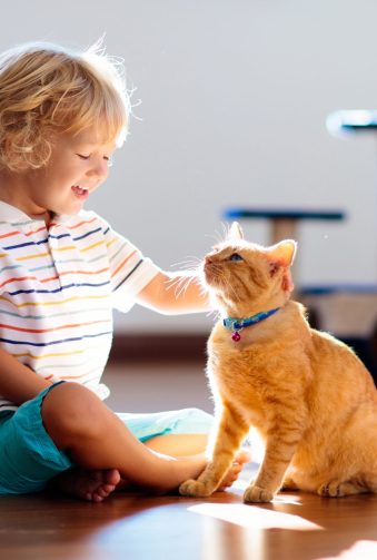 f6f031c9624a2cdbadc648657c7e50c3e8415f34 (1)